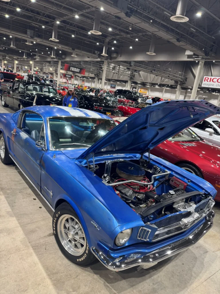 65 fastback 2