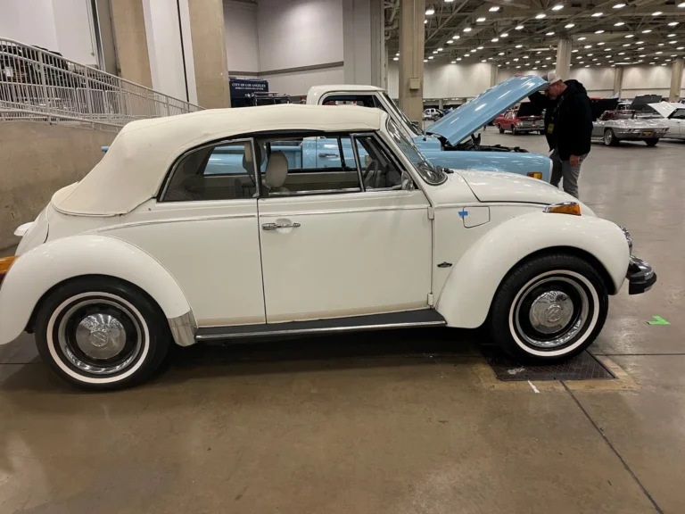 bug mecum